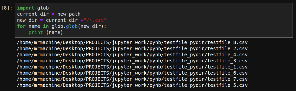 Jupyter Python List Directory code